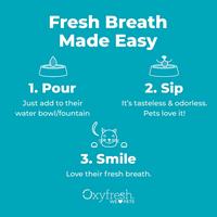 Gambar Oxyfresh Pet Water Additive 3780ml - Antiseptik Gigi dan Mulut Hewan dari Oxyfresh Pet Kota Tangerang Selatan 3 Tokopedia