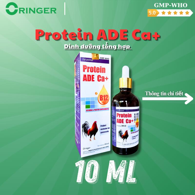 Protein B12 nhân sâm 10ml sản phẩm dành riêng cho gà đá giúp gà nở khung tăng cơ sung túc mát gà hấp thu dinh dưỡng tốt chuyển đổi thức ăn cao Giá tốt - giao nhanh top max b12 của nhỏ đá thuốc nhỏ gà thuoc gada b12 chính hãng