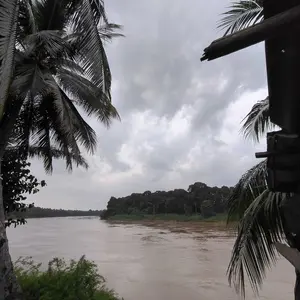 (BISA COD) Kostum Mermaid Premium Dewasa Perempuan dan Laki laki Fashion bisa dipakai dari 40 kg sampai 75 kg bahan melar dan lembut