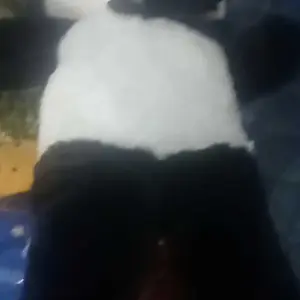 Boneka Teddy Bear Telapak Jumbo 90cm Dewasa Anak Dolls Toys boneka