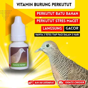 Vitamin Butung Perkutut Gacor