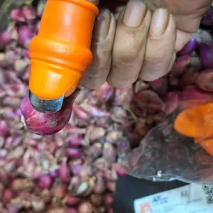 Sarung Jari Jempol Pemotong Sayur Silikon Cover Pisau Sarung Jempol HM1047