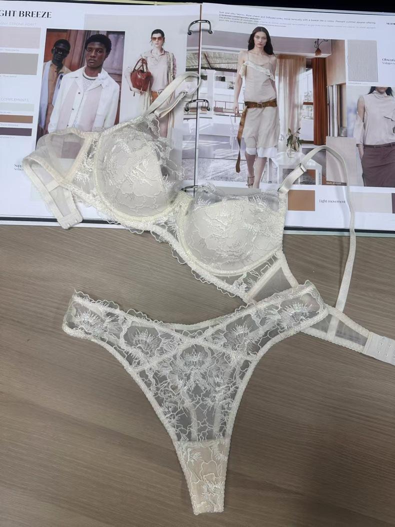 Product Introduction of Embroidery Lace Thin Cotton Underwear Transparent Lingerie Sets For Women Sexy Push Up Gather Fashion Lady Bra And Panty Sets 18