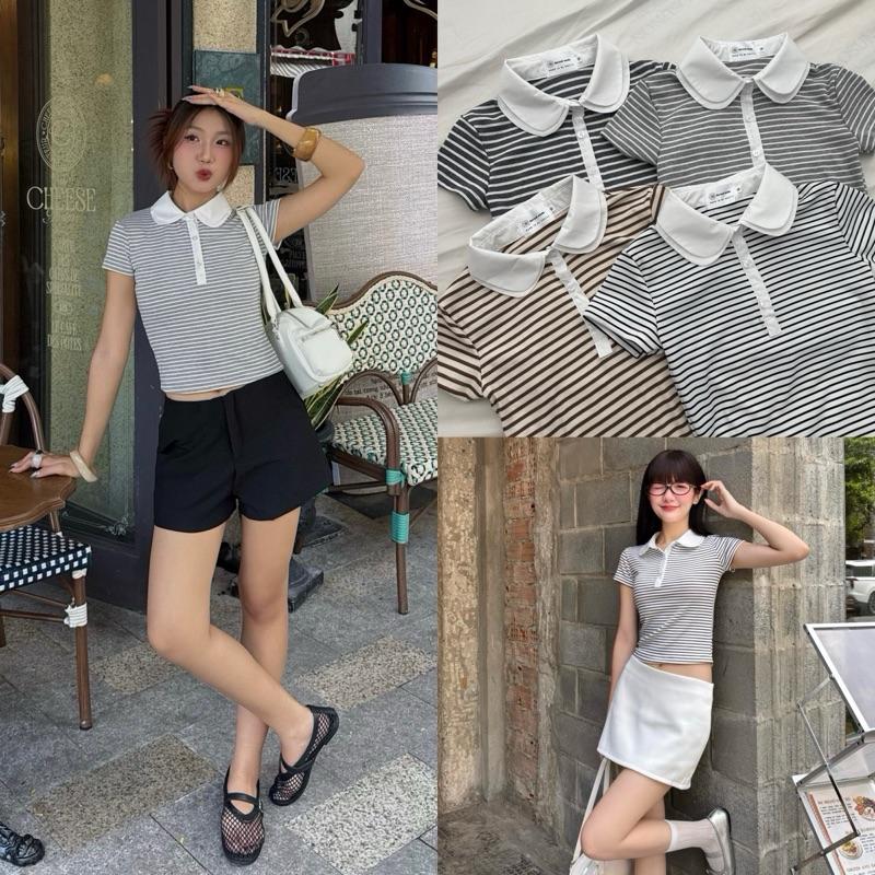 DOUBLE TOP - Áo Thun Polo DEROSE Cổ Đúp 2 Lớp Thun Trơn Mịn Co Giản 4 Chiều Form Nữ Ôm