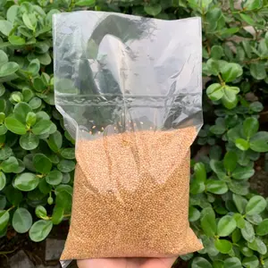 Milet Kuning 500gr Kemasan Plastik Pakan Burung Berkicau Creamy Milet makanan