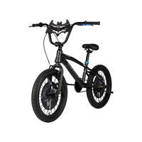 Gambar Sepeda Anak / Kids Bike BMX Hiphop Batman Arkham 20 Inch dari ELEMENT BIKE INDONESIA Kab. Tangerang 2 Tokopedia