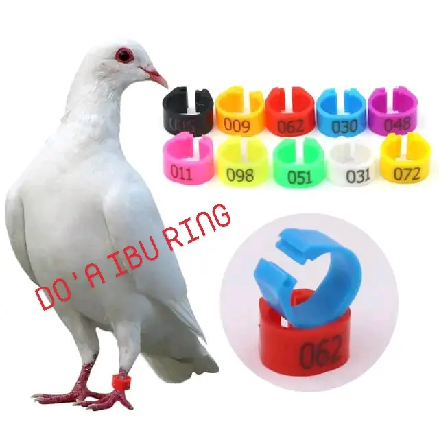 Ring merpati klip atau ring dewasa isi 5 pcs nomer seri acak