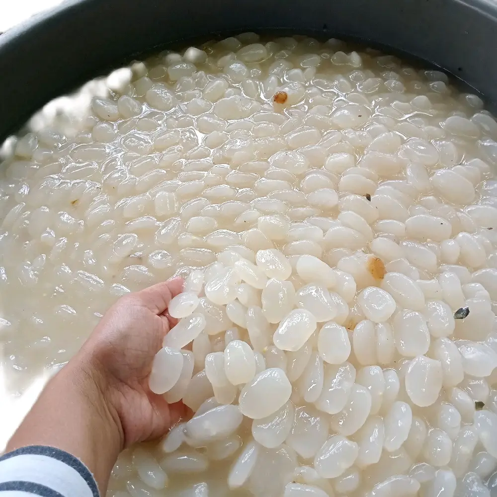kolang kaling fresh 1 kg