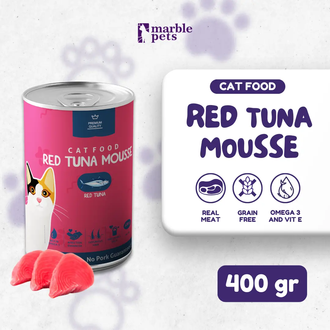 Red Tuna Mousse