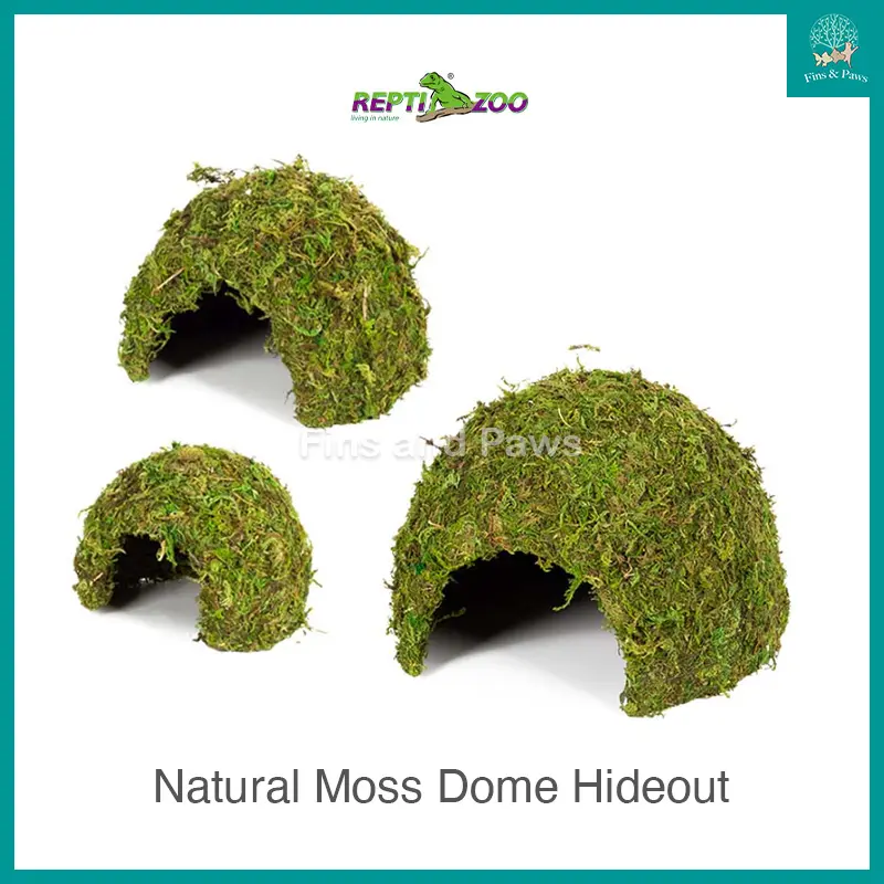 [Reptizoo] Natural Moss Dome Hideout Ornament for Frogs, Lizards, Crabs and other reptiles.