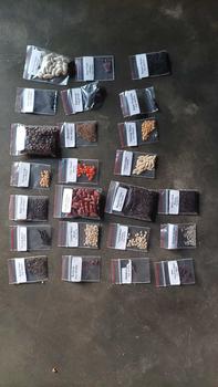 Product Review of Paket 25 Bibit Sayuran Mudah Tumbuh Benih Seribuan from S**a R**n 2