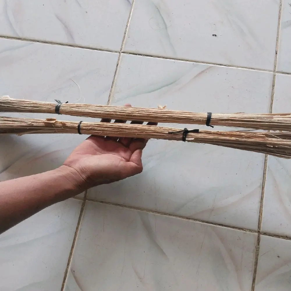 lidi rotan untuk pulut lidi 200 lidi
