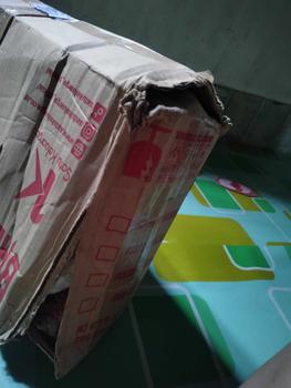 Product Review of [COD] SM M261 Sepeda Mainan Keseimbangan Anak Roda 2 Tanpa Dayung Sepeda Anak Kado Beraneka warna from D**a 2