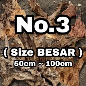 KAYU SIZE BESAR, Ukuran 50-100cm. ORDER SESUAI FOTO VARIAN
