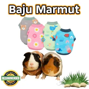 Baju Marmut Lucu & Nyaman | Harga Hemat, Kualitas Mantul