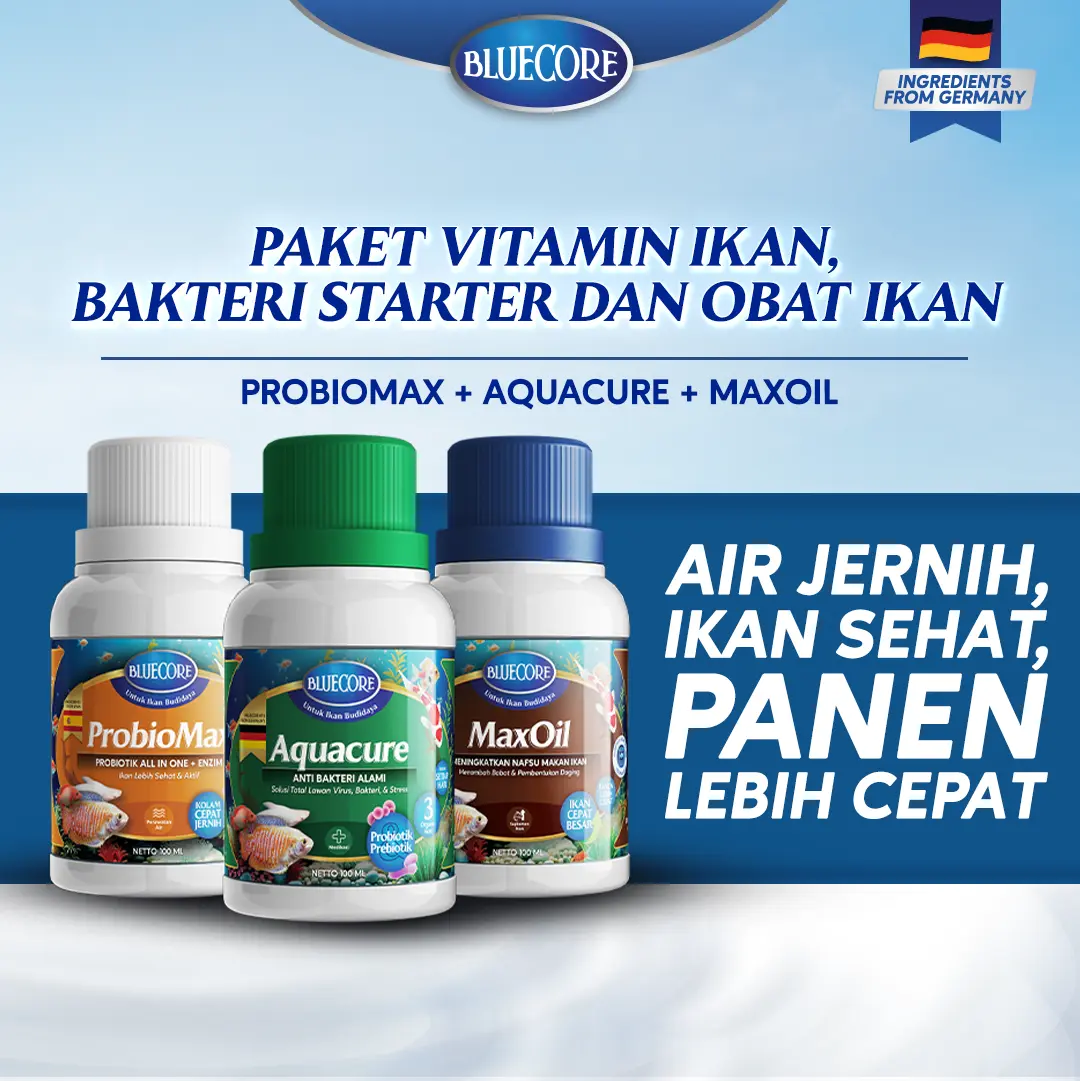 Bluecore Paket Vitamin Ikan, Bakteri Starter dan Booster ikan - Cocok Untuk semua jenis ikan (Ikan Lele, Ikan Nila, Ikan Patin, Ikan Gurame) - Mengurangi Amonia, Perangsang Ikan dan Menaikan Bakteri
