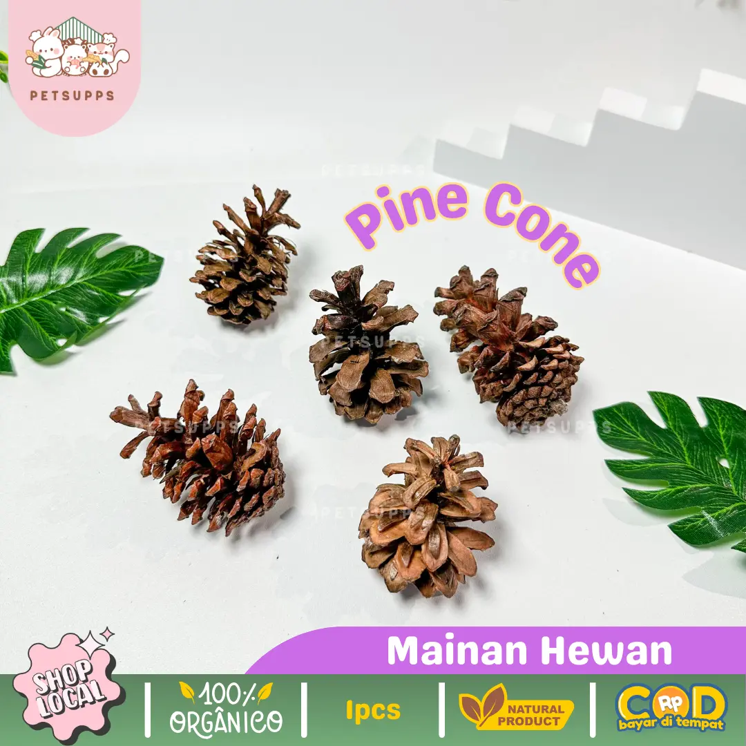 Gigitan Hamster | Pine Cone | dekorasi kandang hamster