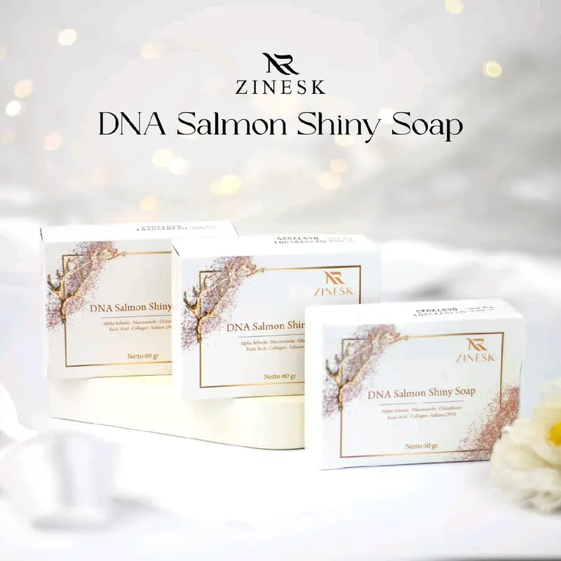 ZINESK PAKET SKINCARE kemasan lama,SUNSCREEN+NIGHT CREAM lama+SABUN DNA SALMON paket lama isi 3 2
