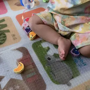 MAINAN EDUKASI MONTESSORI ANAK MERONCE DAN MEMANCING BUAH HEWAN Kayu Toys alat konsentrasi