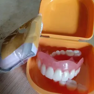 Bok penyimpanan dan gigi lengkap atas bawah - bonus perekat