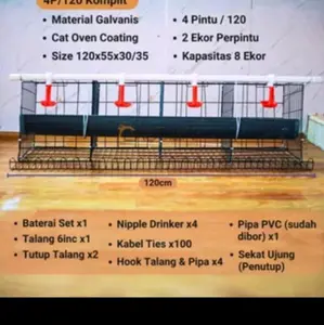kandang batre pintu 4 isi 8 ekor paket lengkap