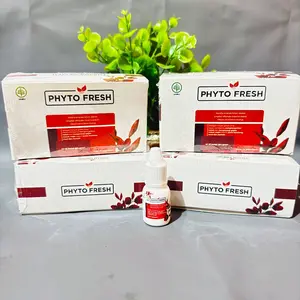 [ BPOM ] 2-BOX PHYTO FRESH 2Box Isi 20Pcs Minyak Angin Aromatheraphy Phytofresh Roll On 4mL