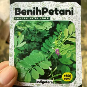 500 Benih bibit rumput INDIGOFERA rumput pakan ternak modern kaya protein nitrogen fosfor dan kalsium