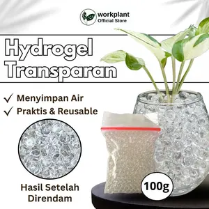Workplant - Media Tanam Transparan Media Tanam Hidroponik Tanaman Hias