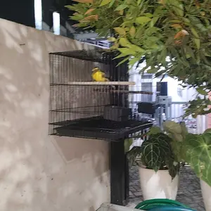 Kandang ternak mini uk. 50x30x35