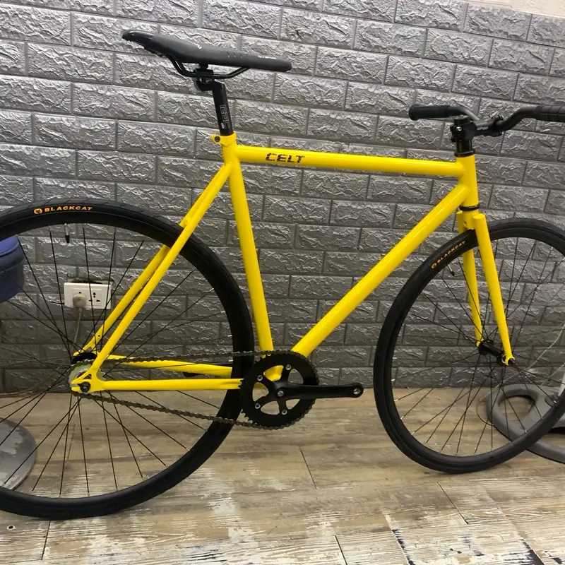 Bike Shop Celt Frame Fixie Price Fixie Celt Celt Wholebike