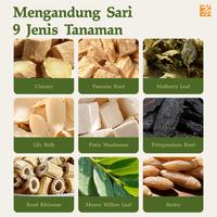 Gambar 【Private Domain-VIP-A】Expce Teh Herbal 12 Sachet, Segar Alami, Relaksasi Setiap Hari - 1PCS dari Kreain Nature Official Store Kab. Tangerang 3 Tokopedia