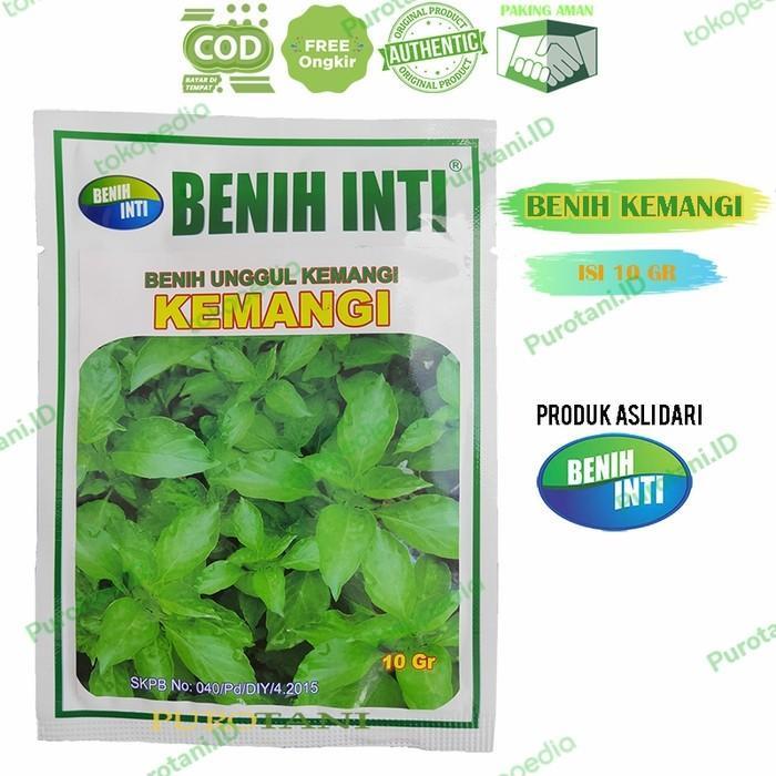 Gambar Benih Bibit Unggul Kemangi Benih Inti Bibit Kmangi 10 GR dari PUROTANI.ID Kab. Purworejo 2 Tokopedia