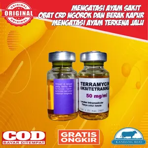 Teramycin Jamu Ayam Sakit Setelah Laga Infeksi Terkena Jalu Sebagai Antibiotik Penyembuhan Luka CRD 10ml