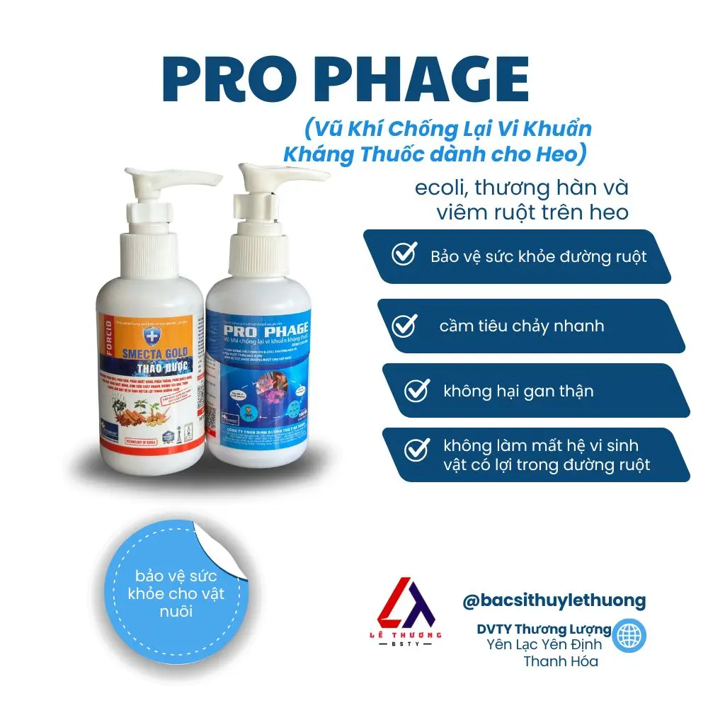 PRO PHAGE Dành Cho Heo(lợn) Chuyên Trị Tiêu Chảy - Giải Pháp Hiệu Quả Với Ecoli, Thương Hàn, Viêm Ruột