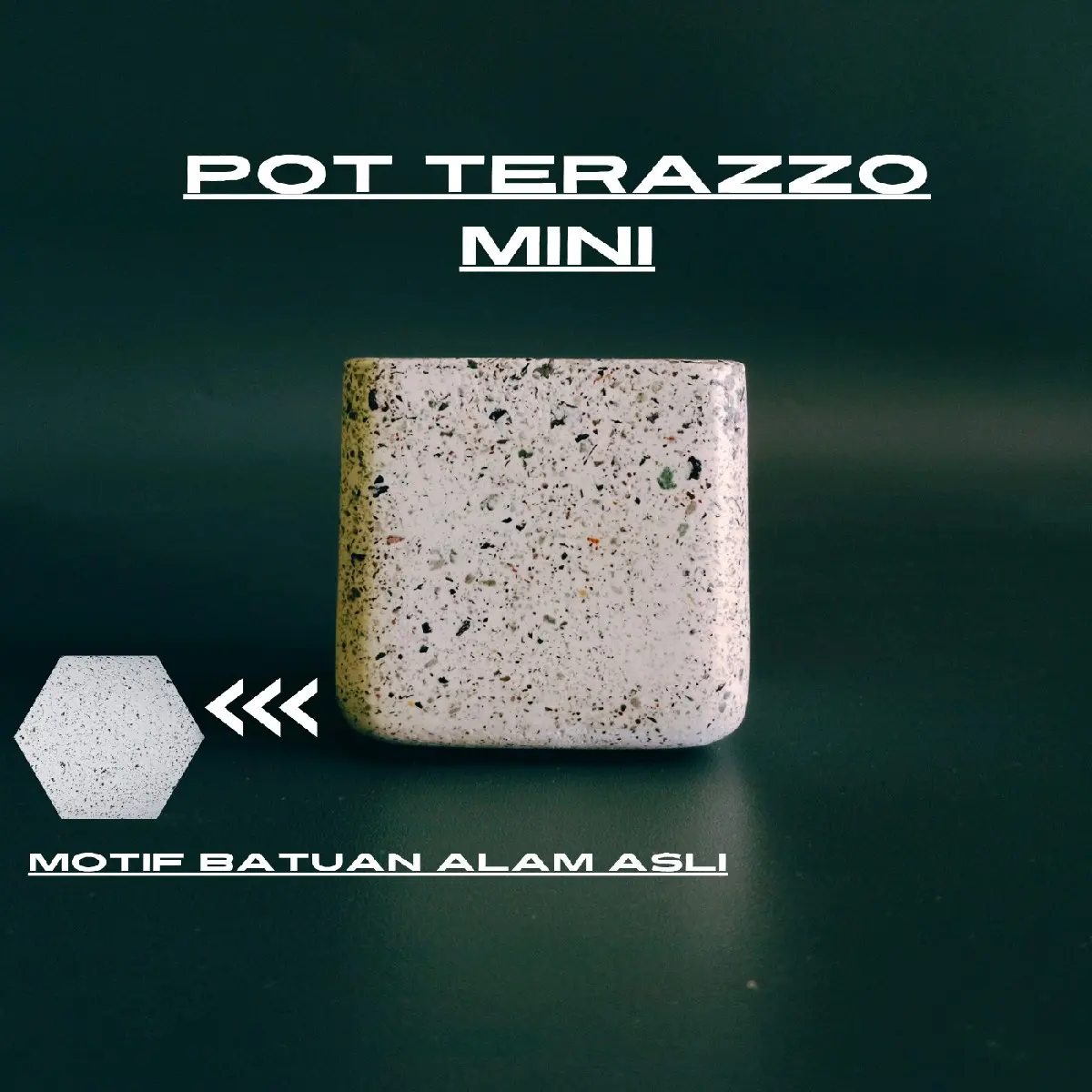 Pot Kotak Putih Kecil Mini 6cm Semen Batu Alam Minimalis Kaktus Sukulen