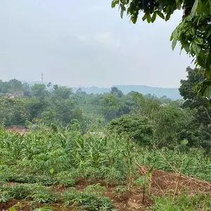 Terrace Alas Kandang Berjemur Kura Kura Platform Basking Turtle Island Tempat Turtle Premium Anti Slip Tortoise