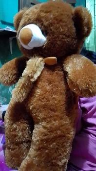 Product Review of boneka teddy bear syal telapak 75cm from u**5 0
