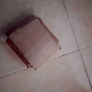 [Paket Hemat Isi 50] Sotong Goreng Enak Renyah Dan Gurih Cocok Untuk Cemilan Keluarga