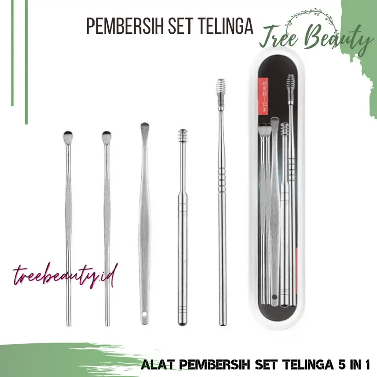 ALAT PEMBERSIH TELINGA SET 5 IN 1 KOREK KUPING BAHAN STAINLESS