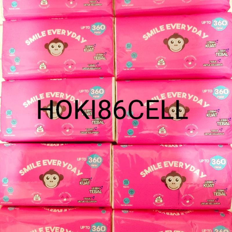 (12 PACK) TISSUE SMILE EVERYDAY Titasoft 360 helai 2 ply tisu 4