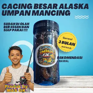 Umpan Cacing Besar alaska alias belut bakar ber essen untuk mancing