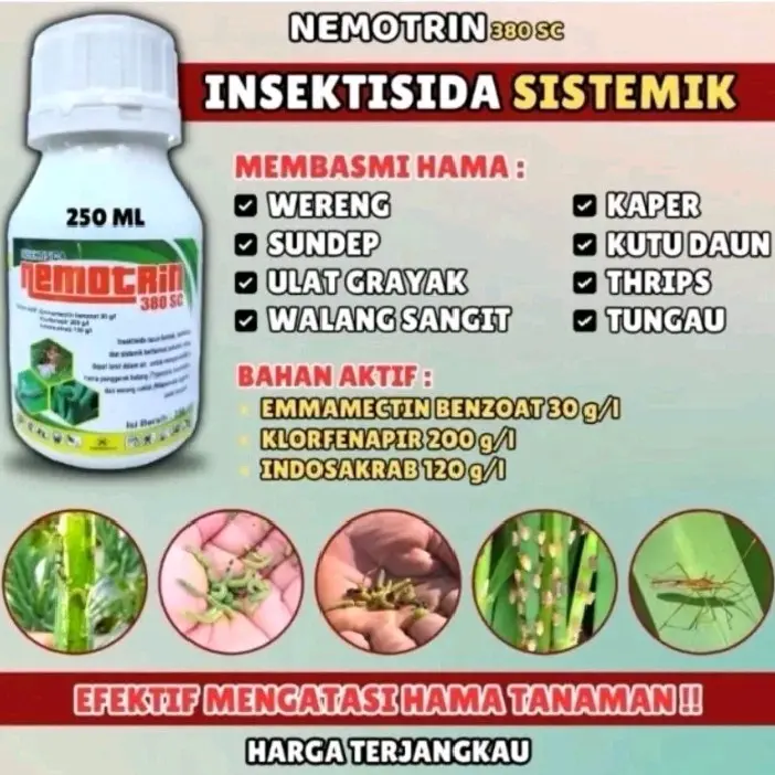 INSEKTISIDA NEMOTRIN - Solusi untuk membasmi ulat grayak wereng dll