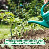 Gambar INFARM - Asam Amino Tanaman 100mL Booster Pertumbuhan, Top Score Asam Amino Atasi Daun Kuning & Tanaman Kerdil dari Infarm Kota Surabaya 3 Tokopedia