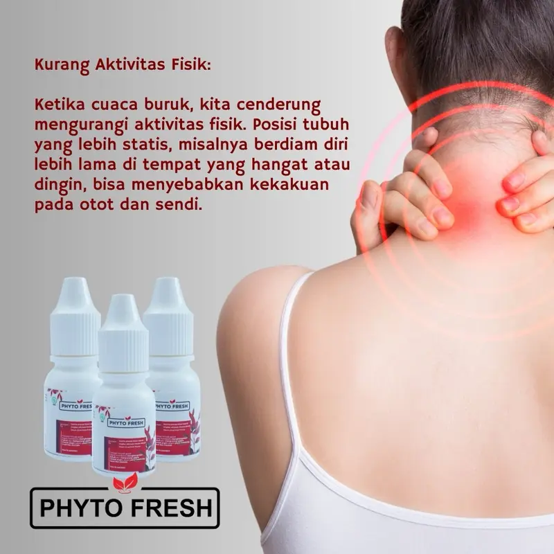 ️ PHYTO FRESH️ 3-BOX ISI 30-PCS Phyto Fresh Minyak Angin Aromatheraphy Phytofresh Roll On 4mL 3