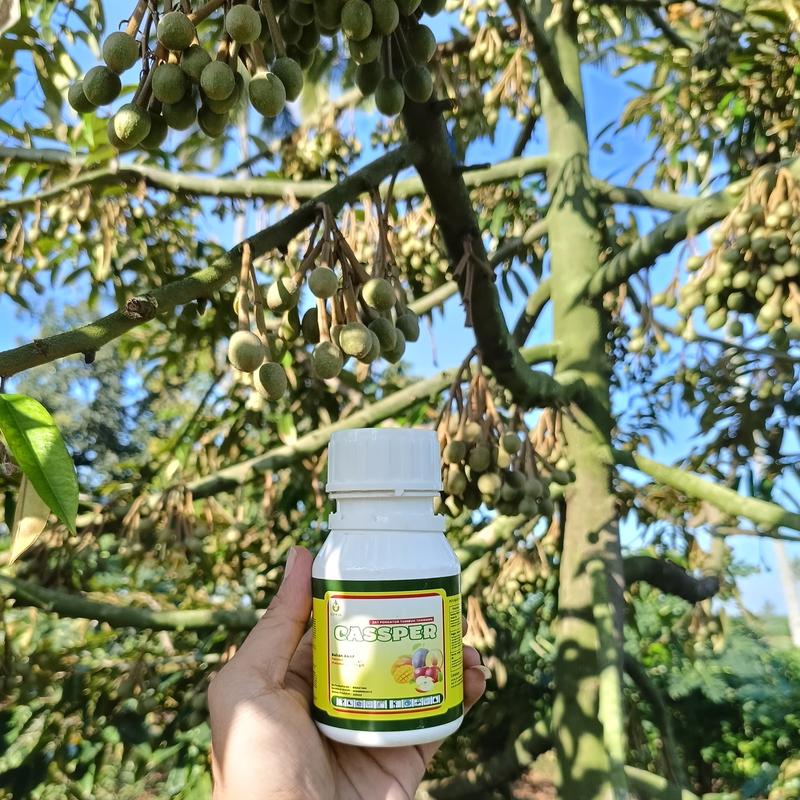 CETROS~ Zpt Cassper Pemacu Pembuahan Diluar Musim / Pupuk Cassper Perangsang Pembuahan Semua Jenis Tanaman Buah / Pupuk Pelebat Buah / Pupuk Pembuahan / Booster Buah / Bosster Durian Lengkeng Mangga 3