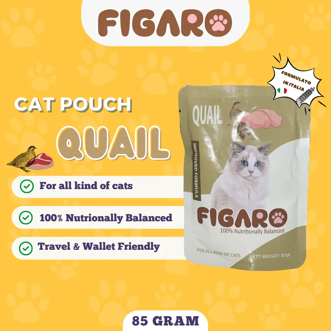FIGARO CAT POUCH - QUAIL 85 Gram Makanan Basah Kucing Adult Kitten Wet Food Sachet Saset Sobek All Stage Snack Creamy Strip Treats Treat PREMIUM INGREDIENTS INGREDIENT BAHAN FORMULATO IN ITALIA FORMULATED IN ITALY