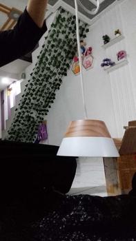 Product Review of lampu gantung minimslis ufo lampu gantung easthetik Bohlam Kayu Minimalis from C**a 1