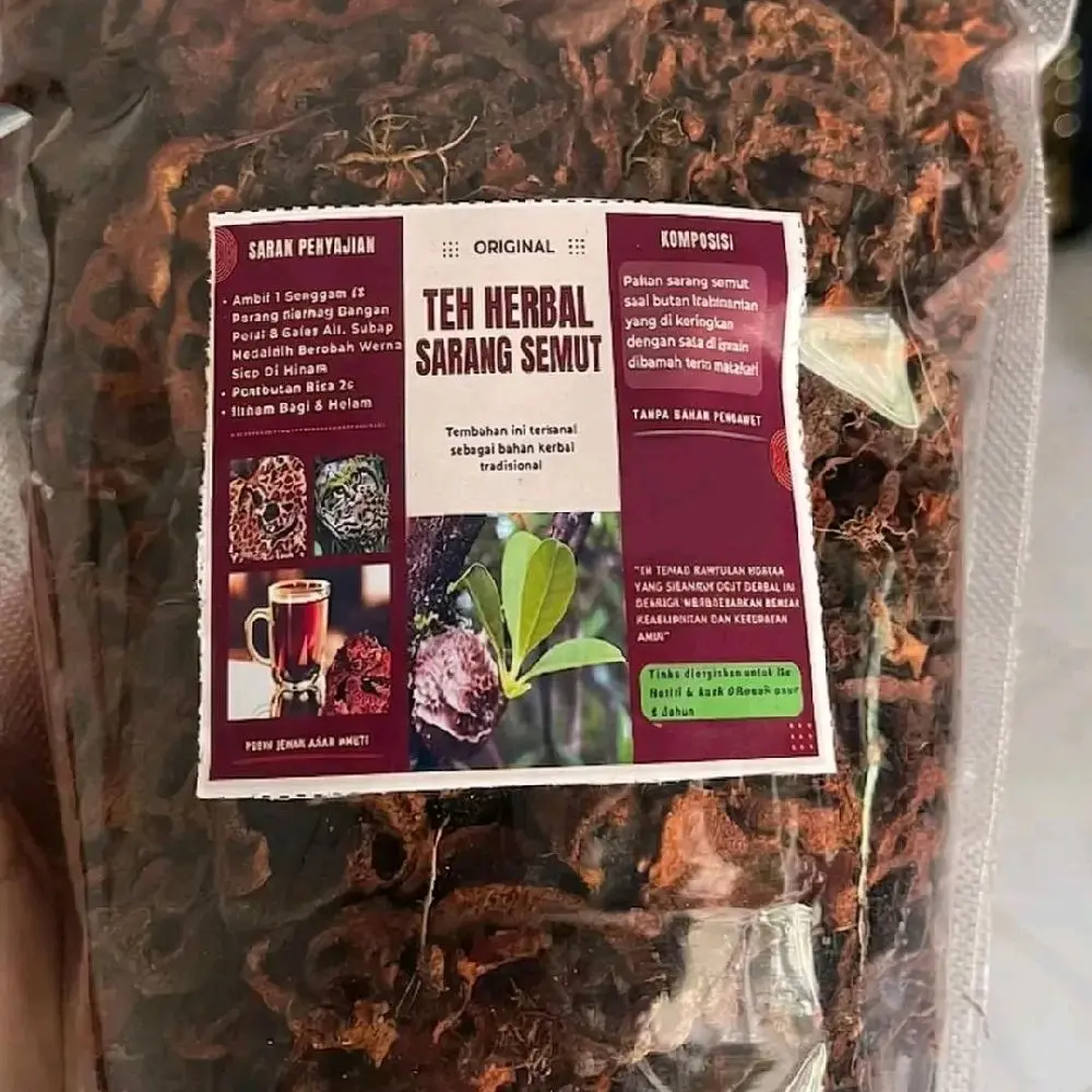 Herbal Sarang Semut Kalimantan