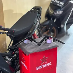 Stang stir Fizr F1zr AG style