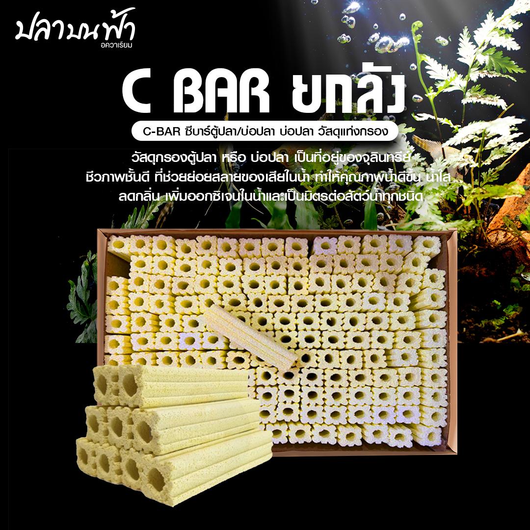 C-BAR ซีบาร์ (ยกลัง 100 ชิ้น) ชนิด แท่ง วัสดุกรอง ใส่ ตู้ปลา บ่อปลา ทำให้น้ำใสขึ้น มีค่า pH เป็นกลาง